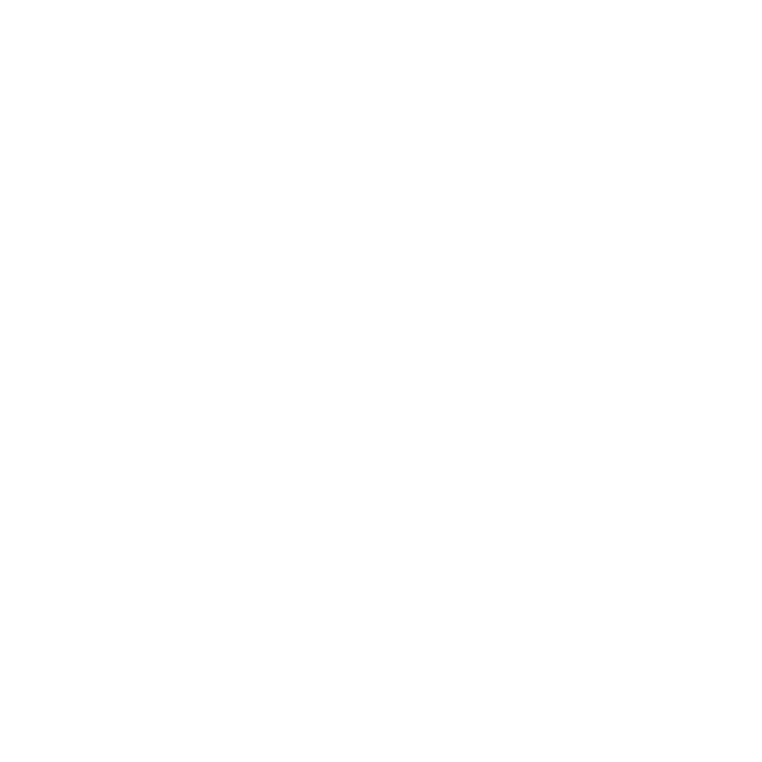 A10 Logo (White)